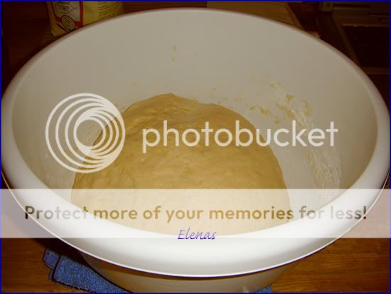 4_munkar_Elenas