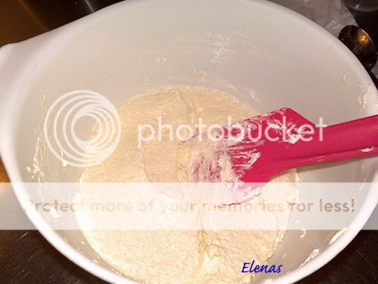 10_Albinita_Elena