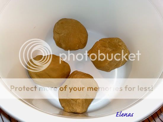 5_Albinita_Elena