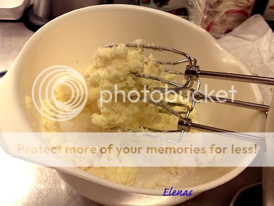 9_Albinita_Elena