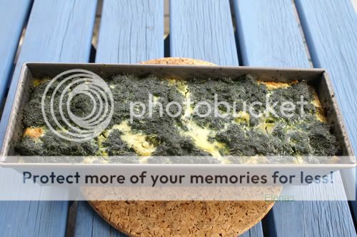 broccolipastej_1, broccolipastej_1