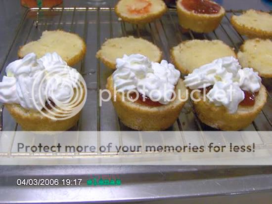 savarin10_elenas