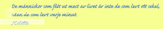 vitsord