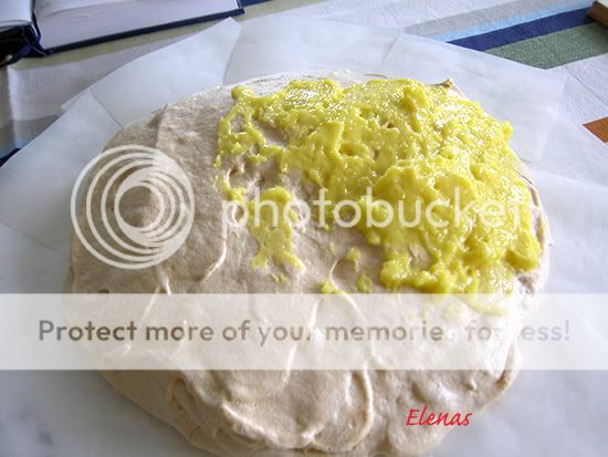 elenas_citron_bezea12
