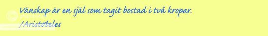 vitsord,ordspråk