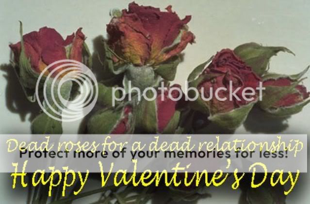Dark Valentines Day Photo Picture