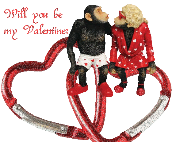 Funny Valentine Day Photo Picture