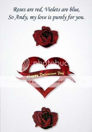 Valentine Day Quote Photo Picture