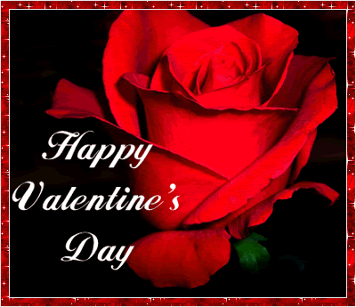 Valentine Day Flower Photo Picture