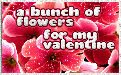 Valentine Day Flower Photo Picture