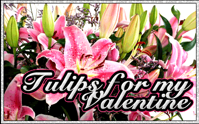 Valentine Day Flower Photo Picture