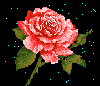 Valentine Day Icon Photo Picture