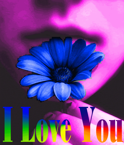 Valentine Love You Photo Picture