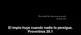 Imagen IPB