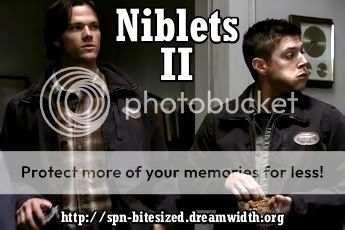 Niblets II at spn_bitesized