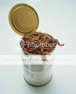 can_of_worms.jpg