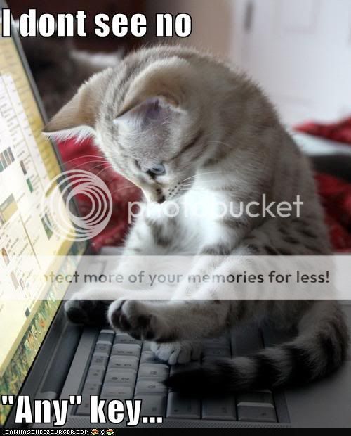 funny-pictures-i-dont-see-no-any-key.jpg