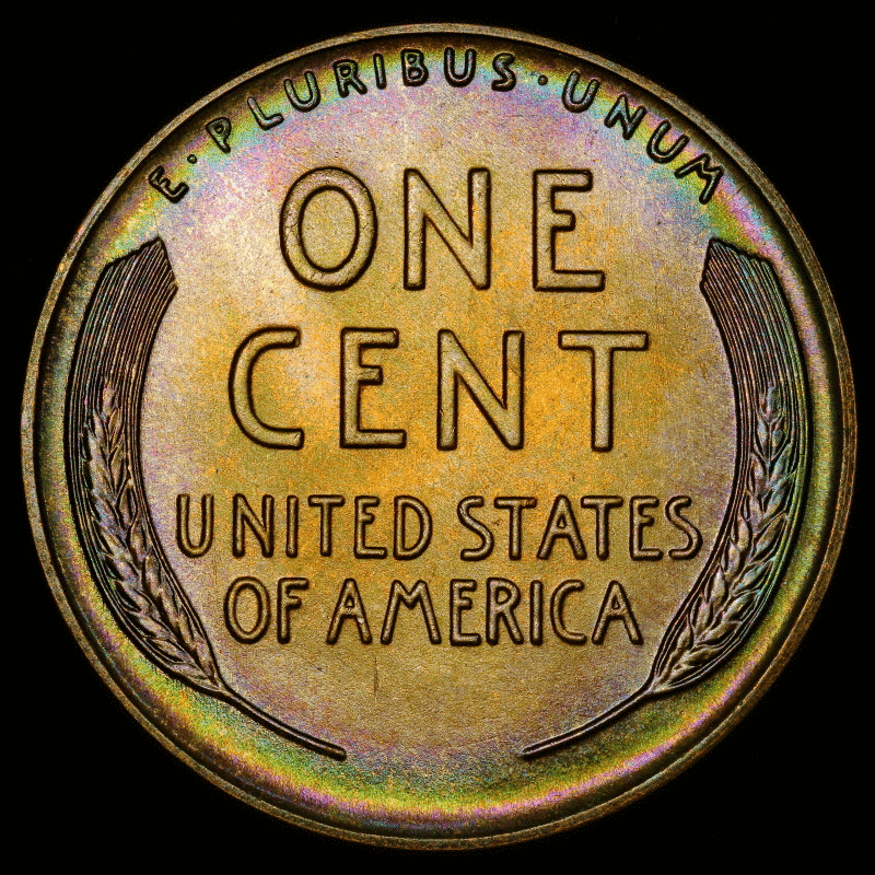 Luster-Animation---Toned-Lincoln